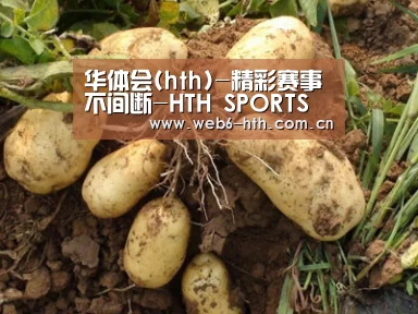 种植基地六