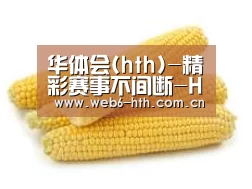 产品名称五