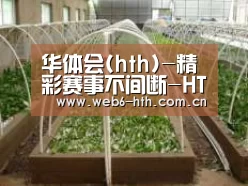 环境展示五