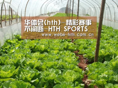 种植基地五