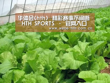 种植基地一