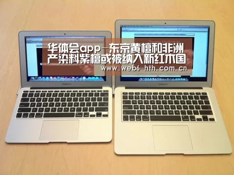 华体会体育官网入口
