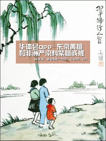 华体会体育官网入口