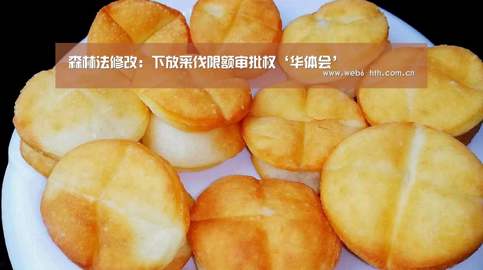 华体会体育官网入口