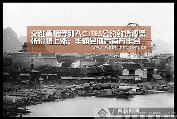 华体会体育官网入口