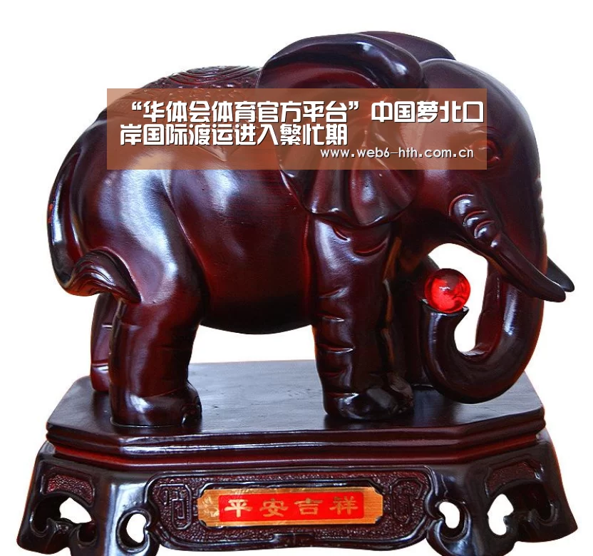 华体会体育官方平台