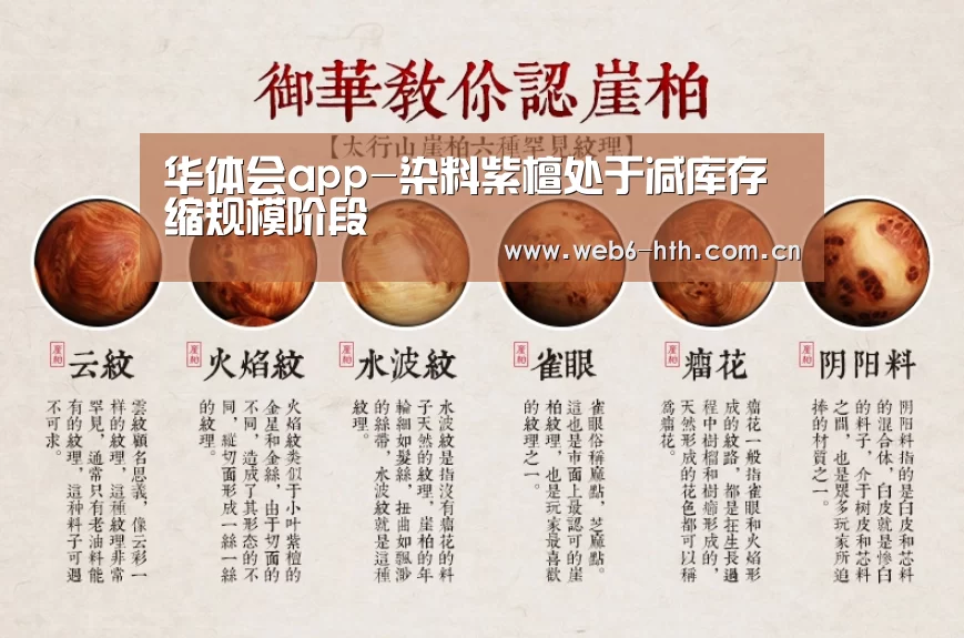 华体会体育官网入口