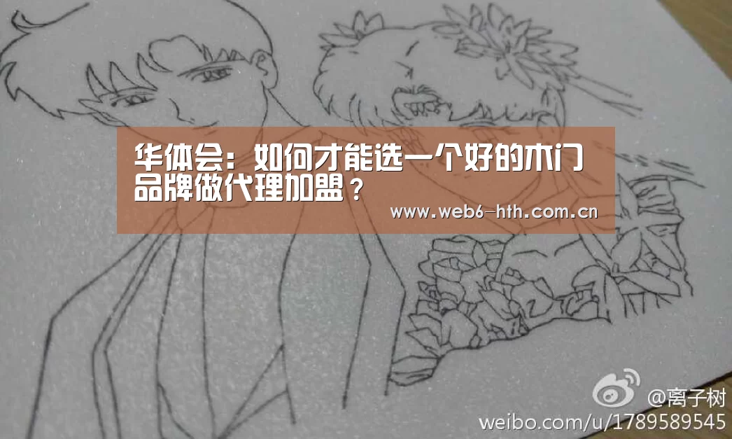 华体会:如何才能选一个好的木门品牌做代理加盟?(图1) 华体会app