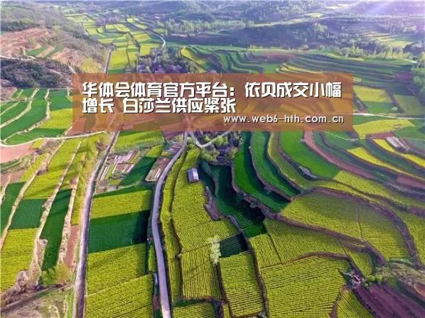 华体会体育官网入口