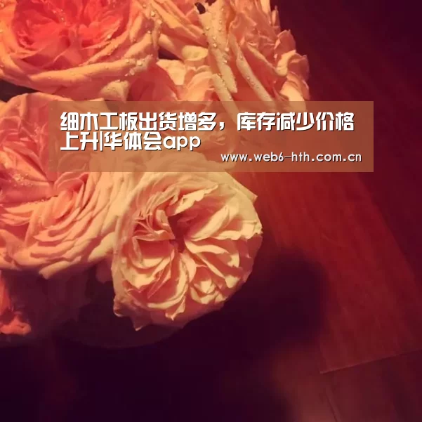 华体会体育官方平台