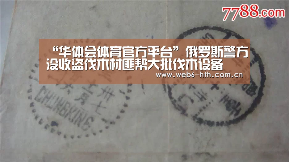 华体会体育官网入口